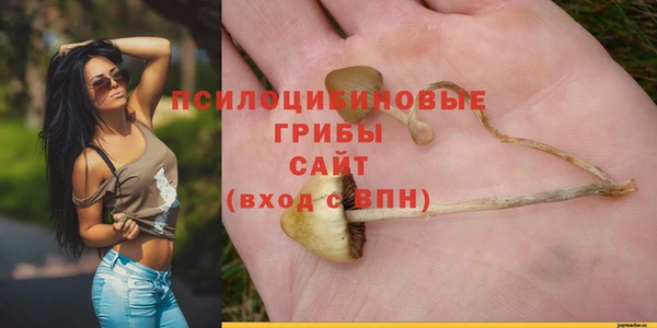 эйфоретик Белокуриха