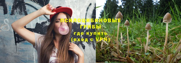 трава Беломорск