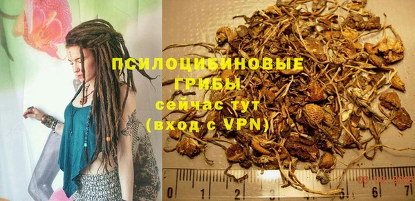 эйфоретик Белокуриха
