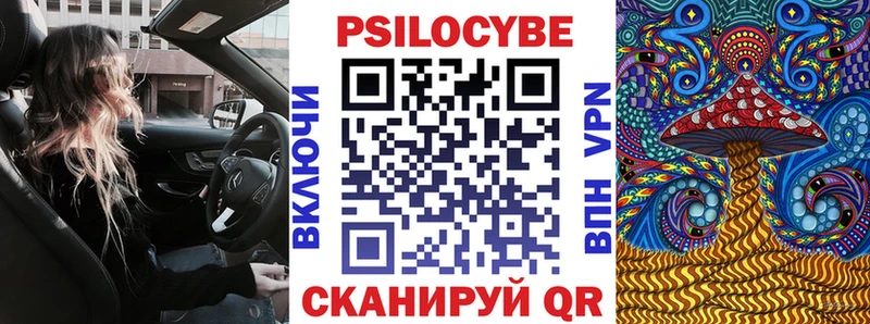 как найти   Бутурлиновка  Галлюциногенные грибы Cubensis 