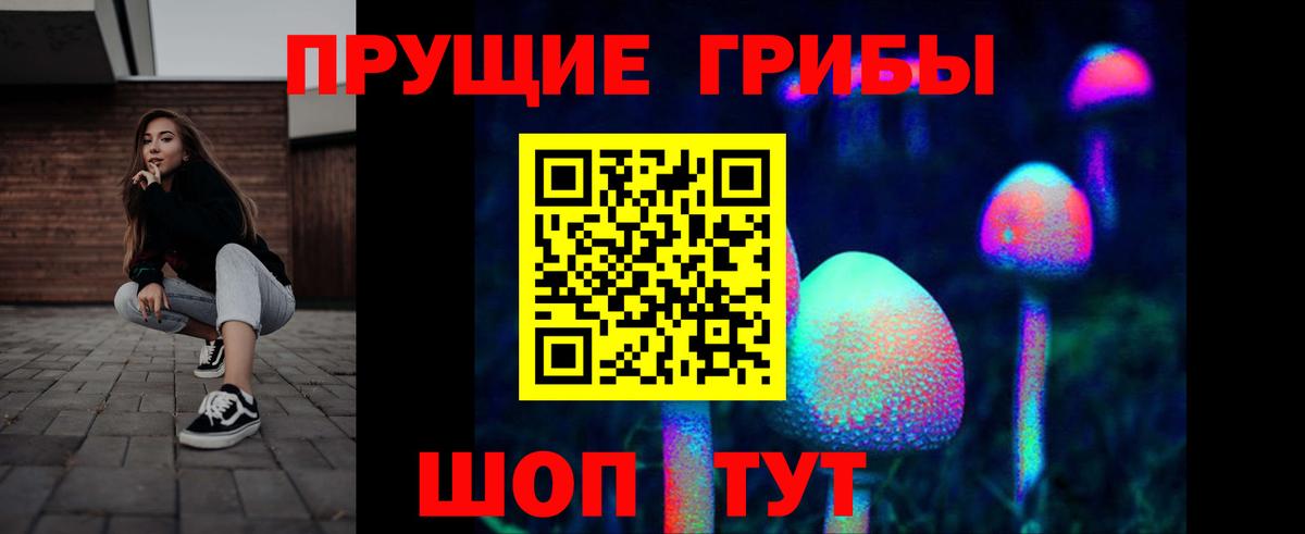 Галлюциногенные грибы Cubensis Бутурлиновка